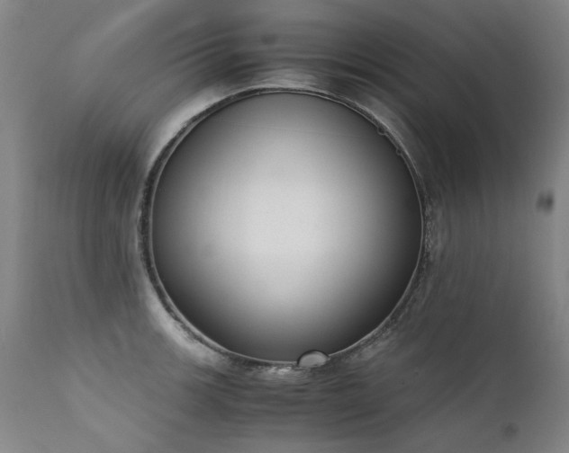 X0000111391139200907171240