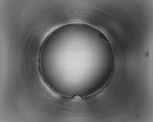 X0000111391142200907171240