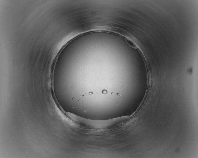 X0000111391143200907171240