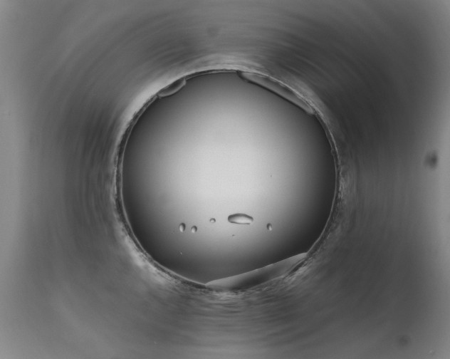 X0000111391144200907171240