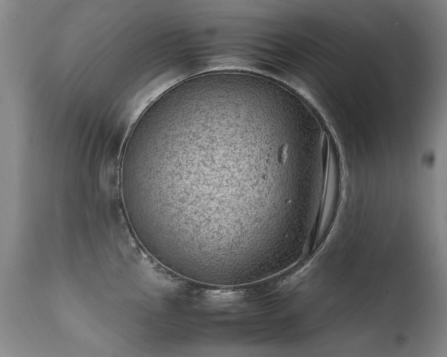 X0000111391145200907171240