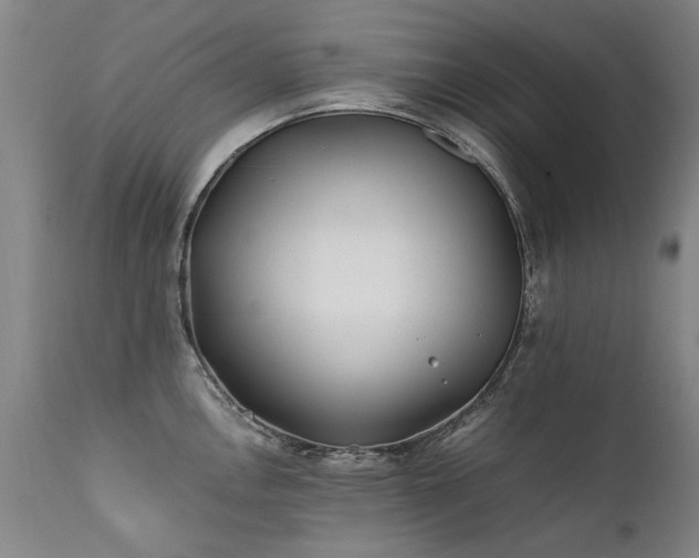 X0000111391146200907171240