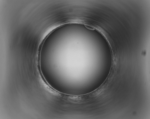 X0000111391147200907171240