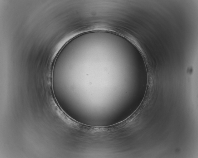 X0000111391148200907171240