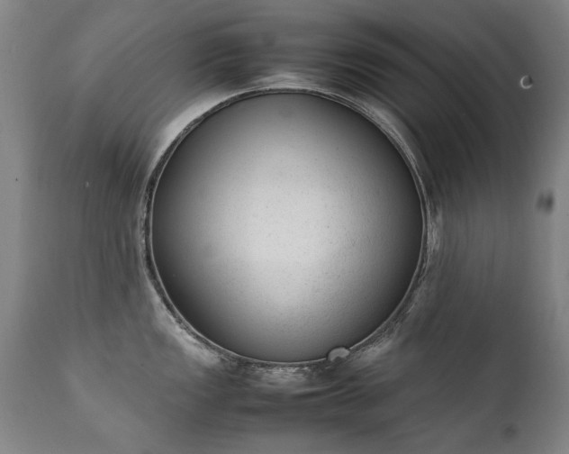 X0000111391149200907171240