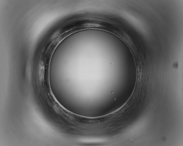 X0000111391151200907171240