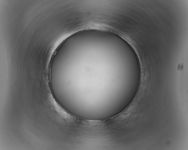 X0000111391152200907171240