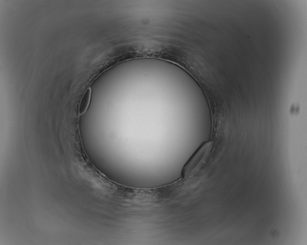 X0000111391153200907171239