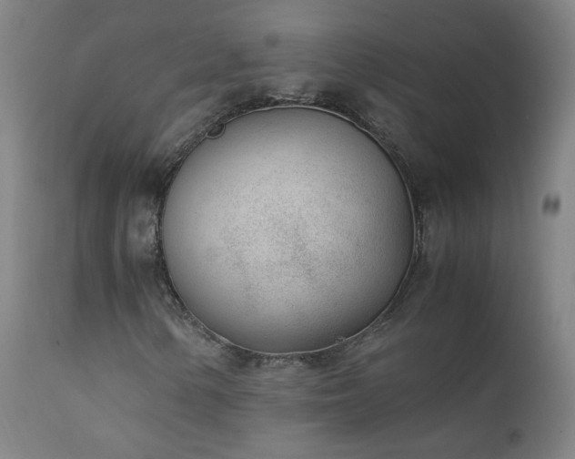 X0000111391154200907171239