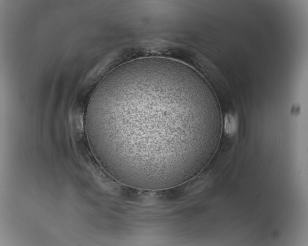 X0000111391155200907171239