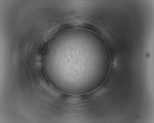 X0000111391156200907171239