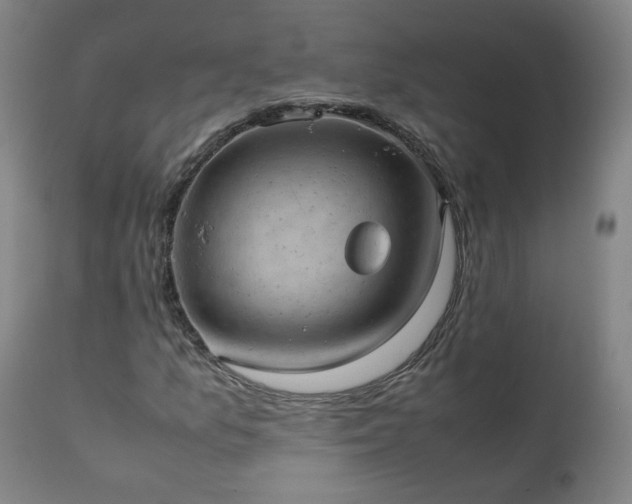 X0000111391157200907171239