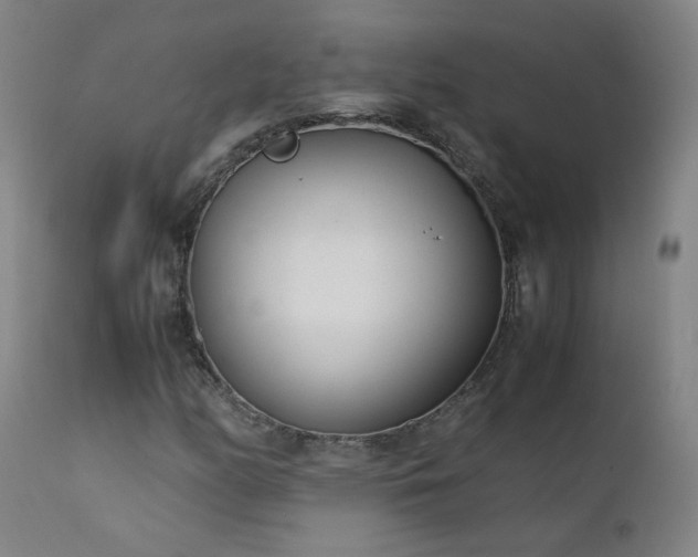 X0000111391158200907171239