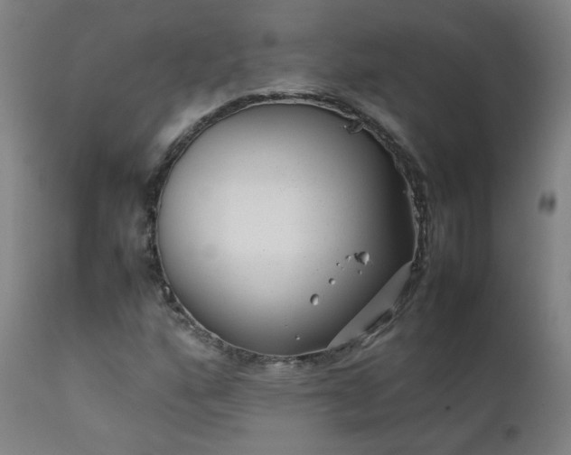 X0000111391160200907171239