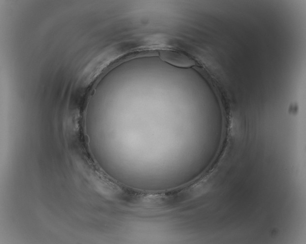 X0000111391161200907171239