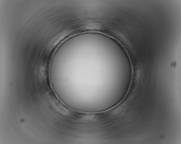 X0000111391162200907171239