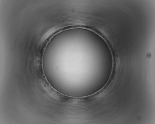 X0000111391163200907171239