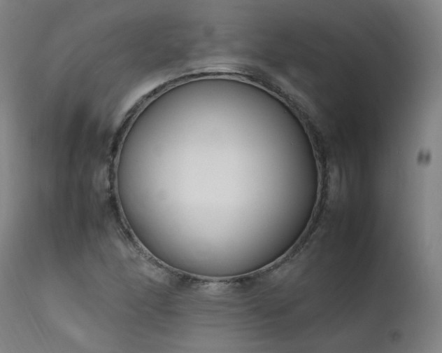 X0000111391166200907171239