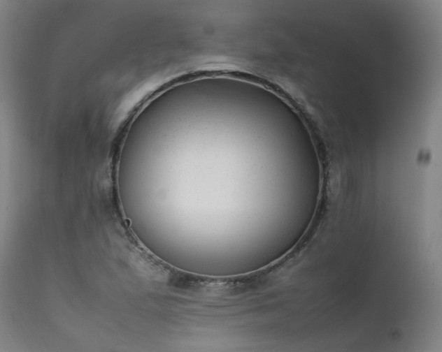 X0000111391167200907171239