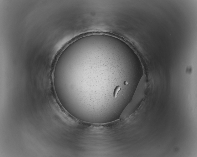 X0000111391168200907171239