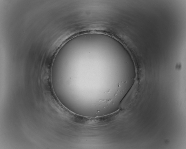 X0000111391169200907171239