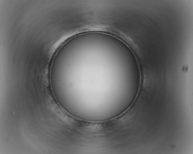 X0000111391174200907171239