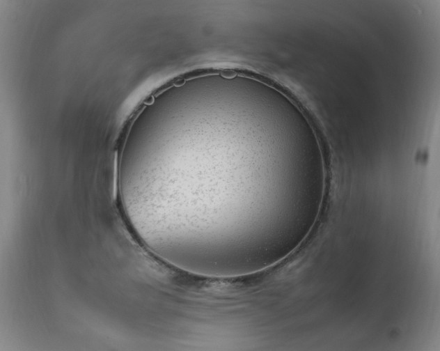 X0000111391175200907171239