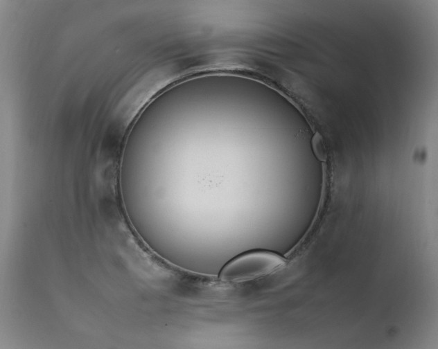 X0000111391177200907171239