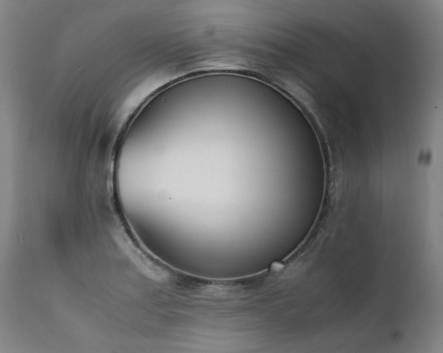 X0000111391179200907171239