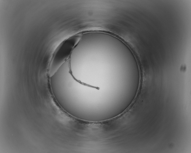 X0000111391181200907171239