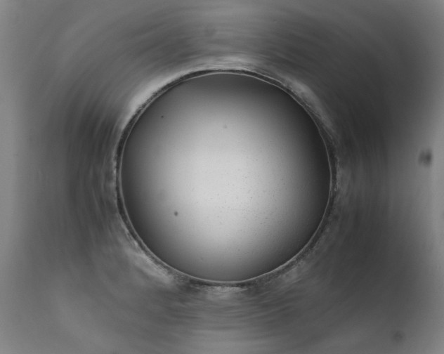 X0000111391184200907171239