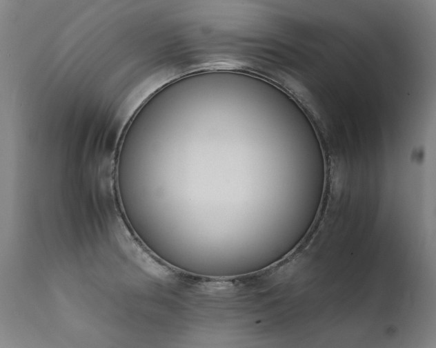 X0000111391186200907171239