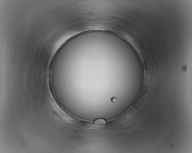 X0000111391187200907171239