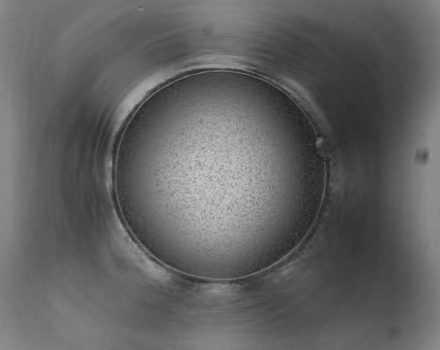 X0000111391188200907171239