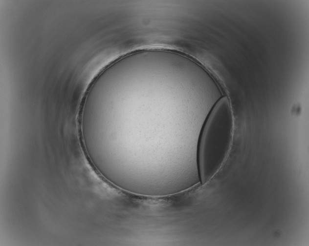 X0000111391189200907171239