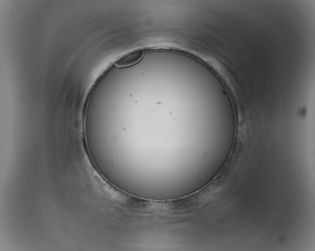 X0000111391191200907171239