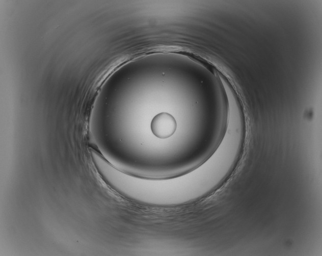 X0000111391193200907171238