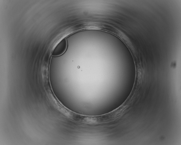 X0000111391194200907171238