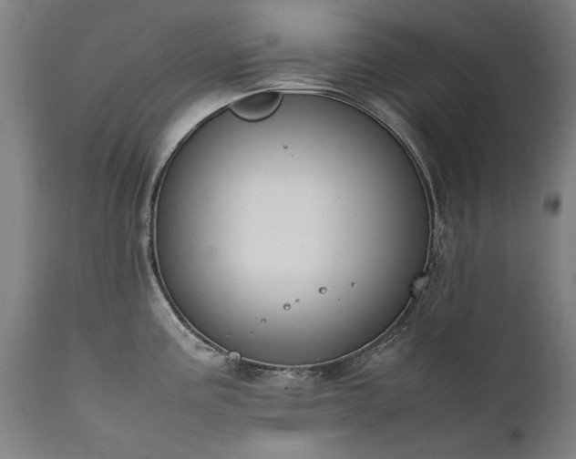 X0000111391195200907171238