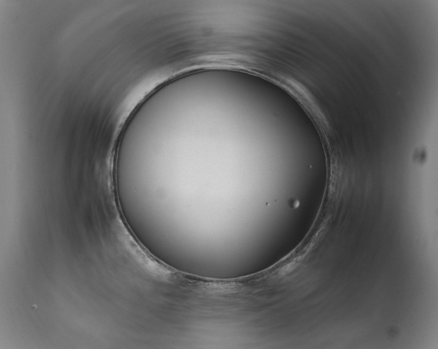 X0000111391196200907171238