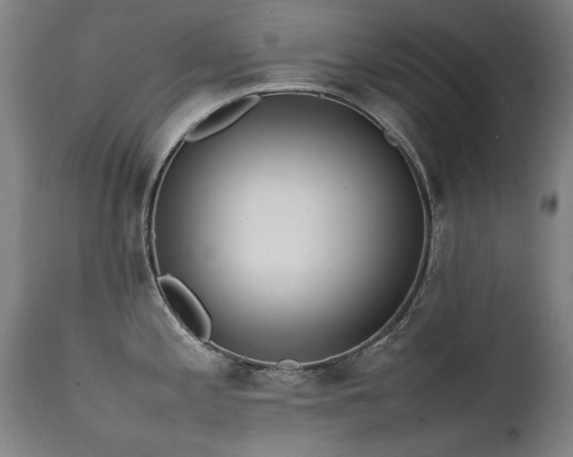 X0000111391197200907171238