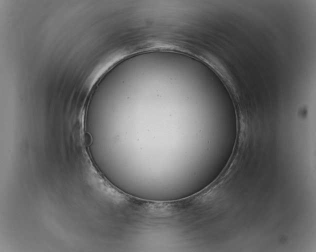 X0000111391198200907171238