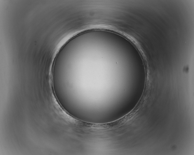 X0000111391199200907171238