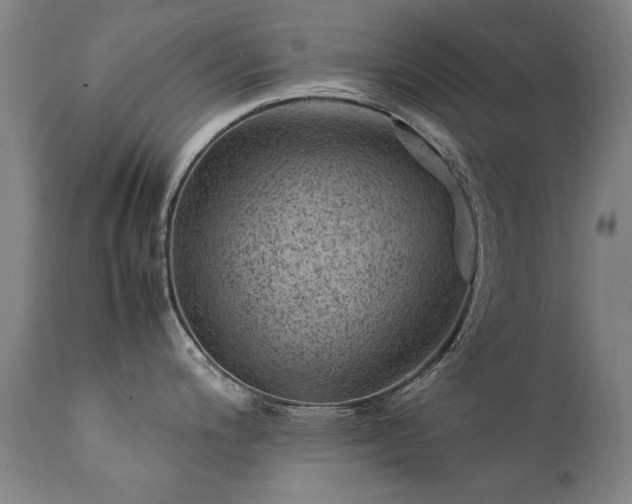 X0000111391200200907171238