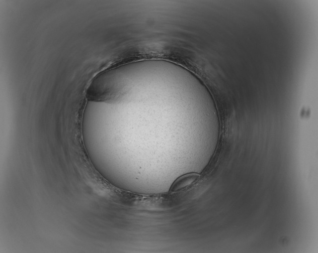 X0000111391201200907171238