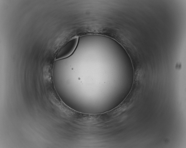 X0000111391202200907171238