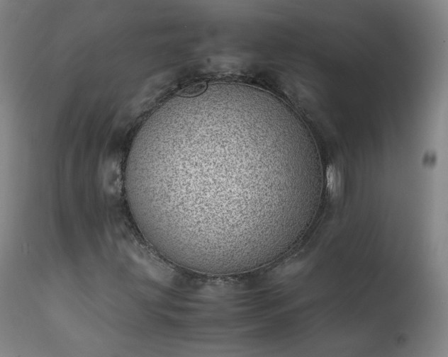 X0000111391203200907171238