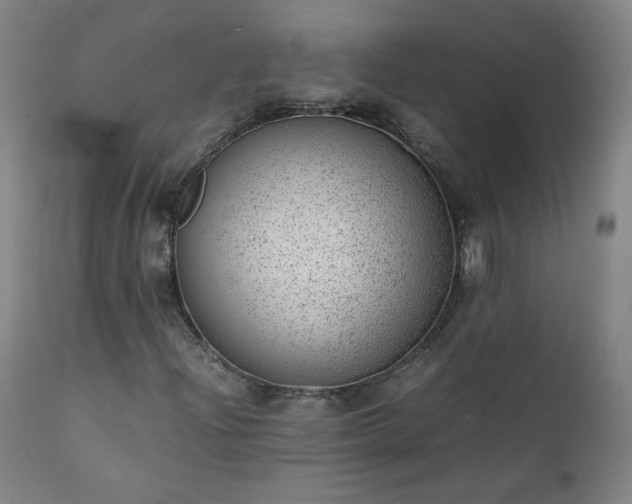 X0000111391204200907171238