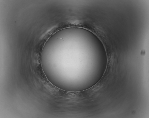 X0000111391205200907171238