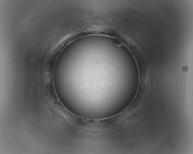 X0000111391206200907171238